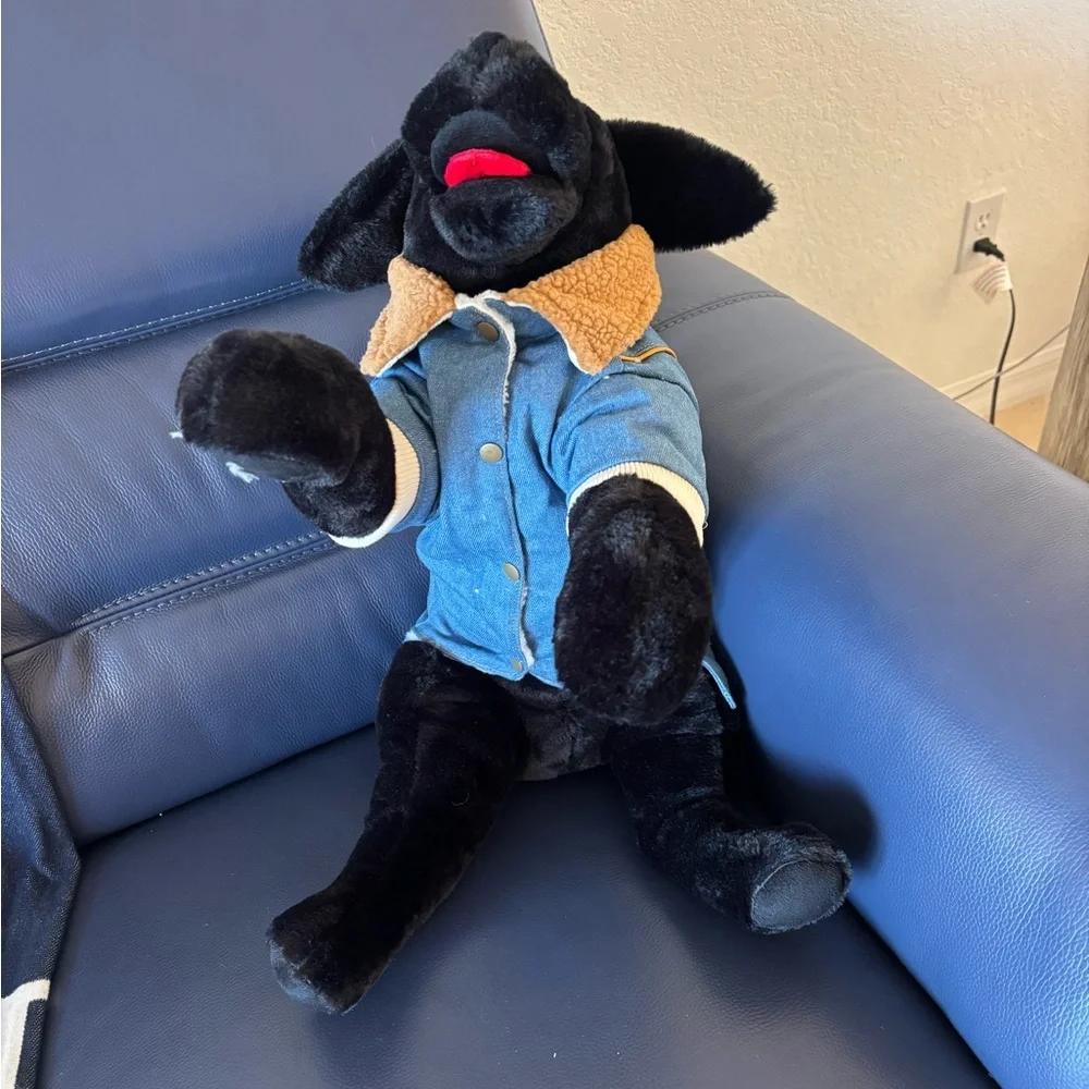 Blue Dog Jacket with Crown Design